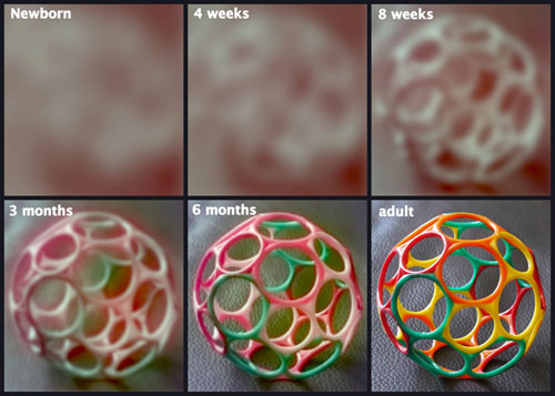 Photo: Comparison of what a baby sees at birth, 4 weeks, 8 weeks, etc.