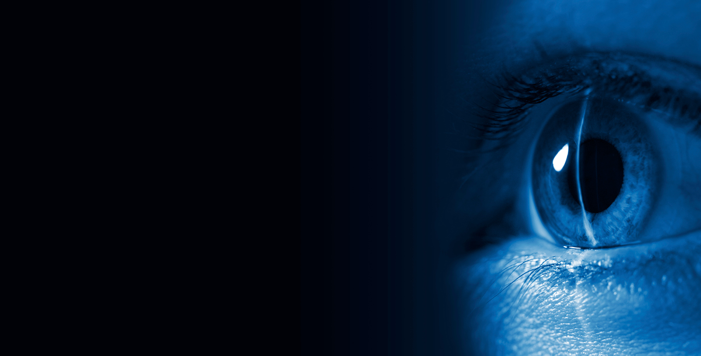 Virtual Reality and Augmented Vision
